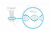 اختلال فینل کتونوریا (pku)